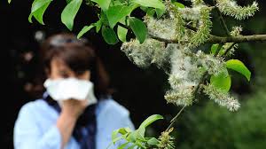 Photo Tests d'allergies alimentaires à domicile: vraie médecine ou ... - RMC