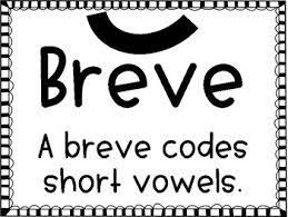 Breve And Macron Poster By Miss Knight S Nook Teachers Pay Teachers