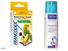 Protecteur Hepatique Probleme De Foie Choline Canaris Couleur Et Chant Explications Pour Debutant
