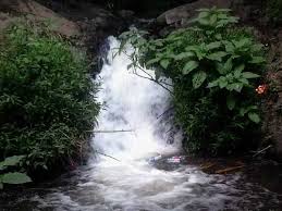 Kebersihan sebagian dari iman, hadits ini adalah hadits yang sudah sangat familiar dan beredar luas di tengah masyarakat kita, tapi apakah benar itu. Kebersihan Sebagian Dari Iman Jorok Bagian Budaya Kita Kompasiana Com