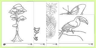 5 min quiz there's no. Rainforest Themed Coloring Sheets