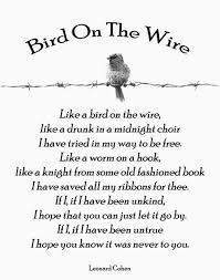 Birds Of A Feather Lyrics Bird On A Wire Bird Best Friend Quotes Funny Friends Quotes Funny
