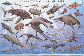 Prehistoric Marine Life Dinosaur Education Poster 24x36 Dinosaur Posters Prehistoric Creatures Prehistoric