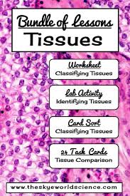 Bundle Of Lessons Tissue Identification And Classification Lab Activities Sorting Cards Lesson
