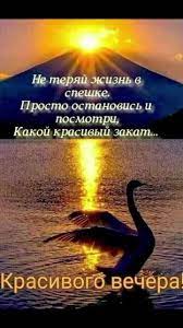 Добрый Красивый Летний Вечер | TikTok