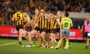 Sam mitchell and shaun burgoyne of the hawthorn hawks. 2018 Afl Season Hawthorn Hawks Hospitality