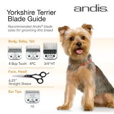 Clipper Blades For Grooming The Yorkshire Terrier Hope This