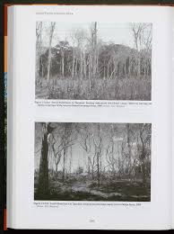 Image result for Dichapetalum mossambicense