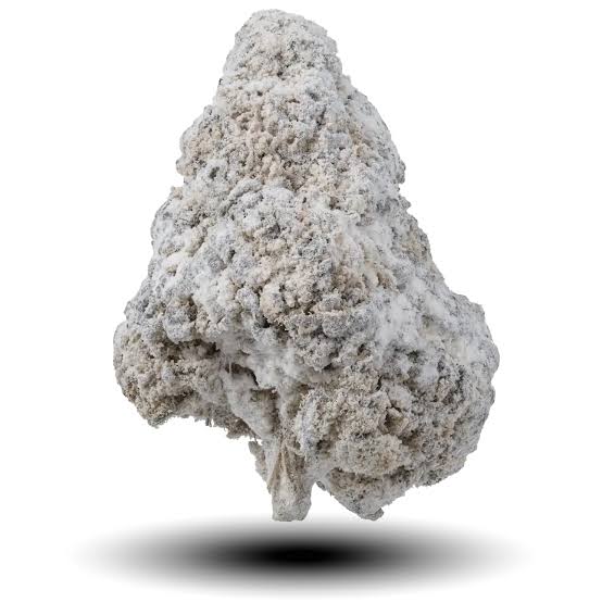Snowcaps - Craft Hemp - East Tree CBD