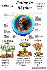 laws of eating in rhythm to your bodys natural clock dr