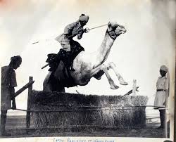 The duration of safari can be from 4 to 15 days, though the minimum time duration doesn't exceed the week limit. Bikaner Camel Safari A Unit Of Rao Bikaji Camel Safari Home Facebook