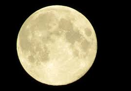 We did not find results for: Magical Moon Free Stock Photo Public Domain Pictures