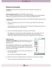Student exploration human karyotyping gizmo answer key scientists use karyotypesto study the chromosomes in a cell. Kami Export Humankaryotypingse Javier Castel Name Date Student Exploration Human Karyotyping Vocabulary Autosome Chromosomal Disorder Chromosome Course Hero