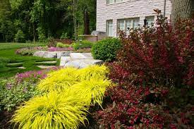 Maybe you would like to learn more about one of these? Plantation Irrigation Landscaping Home Facebook