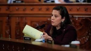 Stefanik wrote after her large victory: New York Congressional Delegation Project Elise Stefanik