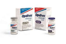 Most sclcs are of the oat cell type. Bristol Myers Opdivo Clears Signs Of Lung Cancer In First In Class Pre Surgery Win Fiercepharma