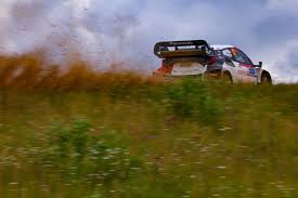 Rule 34 demitra kalogeras after a couple SMS she was on her