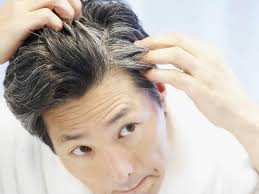 Get white hair to black hair naturally. à¤¸à¤« à¤¦ à¤¬ à¤² à¤• à¤œà¤¡ à¤¸ à¤• à¤² à¤¬à¤¨ à¤ à¤‡à¤¨ à¤˜à¤° à¤² à¤¨ à¤¸ à¤– à¤¸ Best Natural Remedies For Grey Hair Hindi Boldsky