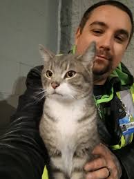 Sharing Missing older Black Lab her name is Asia may be near Warsaw Road in  Dry Ridge. Asia and Cal were adopted by a guy from Hendry County after my  dad passed