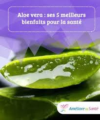Les 5 Benefices Les Plus Importants De L Aloe Vera Pour Votre Sante Aloes Aloe Vera Remedes Naturels