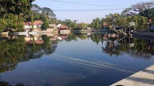Terletak di perbatasan tiga desa yaitu jerukleueut, padaherang, dan lengkongkulon di kecamatan sindangwangi, kabupaten majalengka, jawa barat, indonesia. Liburan Akhir Pekan Di Majalengka Kunjungi Telaga Herang Yang Punya Hawa Sejuk Dan Asri Tribun Travel