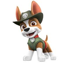For your convenience, we have broken all. Tracker Paw Patrol Wiki Fandom