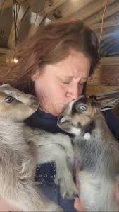 Awww 🥰 my neighbor has a “Mr. Gray”! #milliebobbybrown