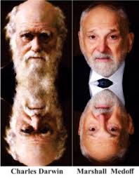 Reincarnation Research