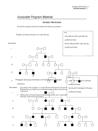 Worksheets are pedigrees practice, chapter 7 pedigree analysis biology, pedigree charts work, name date period, studying pedigrees activity, pedigree analysis activity answer key, chapter 4 pedigree analysis in human genetics, pedigree analysis. Week 5 Genetics Worksheet Genetics Heredity