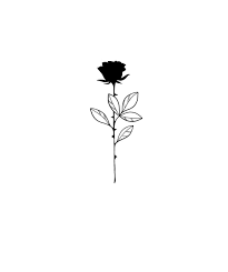 Black Rose Black Rose Tattoos Black Ink Tattoos Blue Rose Tattoos