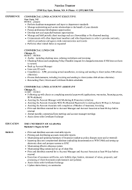 commercial lines resume samples