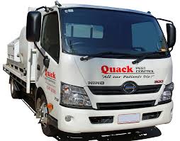 Professional termite & pest control services. Quack Pest Control Darwin Pest Control Specialists