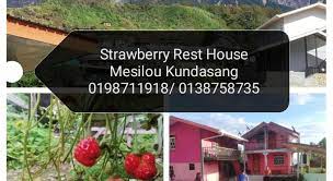 Compara todos os melhores sites de viagem ao mesmo tempo. Strawberry Rest House Mesilou Kundasang Kinabalu National Park Malaysia Photos Room Rates Promotions