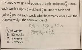 So, in in 1 pounds of a spice mix have cup of cinnamon. Puppy A Weighs 4 1 6 Pounds At Birth And Gains 3 4 Chegg Com