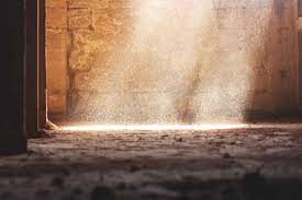 Third, you should not make assumptions about whether materials are acm. What To Do If Accidental Asbestos Exposure Occurs On Site Haspod