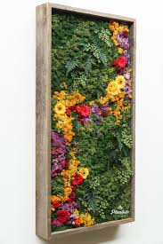 Someday We Ll Find It The Rainbow Connection The Lovers The Dreamers And Me Planteddesign Mosswall Moss Wall Art Flower Wall Backdrop Living Wall Art