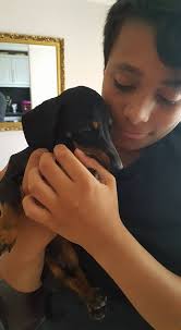 Profile for Best Paw Forward with Lisa Baptiste