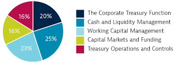 Be the first to see all new cash manager jobs Role Of A Ctp Ctp