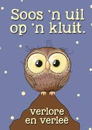 Image Result For Afrikaanse Idiome Afrikaans Afrikaans Quotes Afrikaanse Quotes