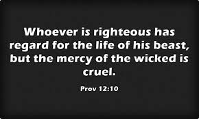Top 7 Bible Verses About Taking Care Of Animals Jack Wellman