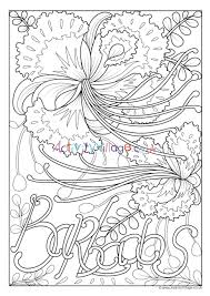 Perfect inspiration for birthday party invites and scrapbook pages! Barbados National Flower Colouring Page