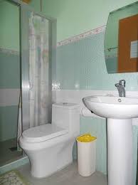 bathroom. a partition/shower curtain