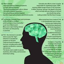 9 Things Which Smoking A Joint Will Do To Your Body And Your Brain Metro News