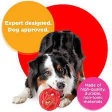 When treat time and play time collide. Share an action shot of your dog  playing with their Milk-Bone® Active™ toys in the comments for a chance to  win half a year's supply