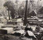 Is this picture the North Fork Box Factory and Lumber Company?