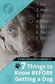 18 Things To Know Before Adopting A Puppy Or Dog Puppy Adoption Training Your Dog Dog Adoption