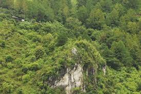 Feb 17, 2009 · batu gantung , danau toba. Batu Gantung Foto Danau Toba Sumatera Utara Tripadvisor