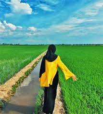 Untuk makluman, sepanjang december padi sudah dituai di sekitar sungai burong ni, pemandangan padi memang tak secantik ketika padi sedang menghijau kan. Gambar Pemandangan Sawah Padi
