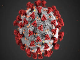It was first identified in december 2019 in wuhan,. Philippines Tightens Curbs After Detecting First Local Cases Of Delta Variant Health