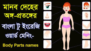 Maybe you would like to learn more about one of these? Pin On How To Learn